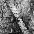 Жіноча шкіряна міні-листоноша TUNONA